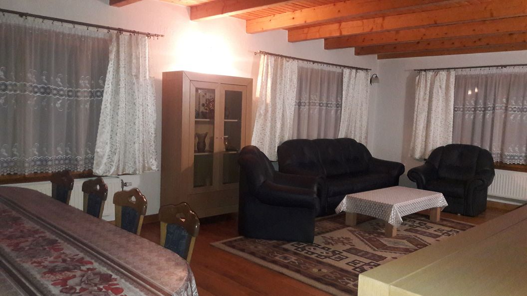 Cabana Ursu Brun Borșa (1)