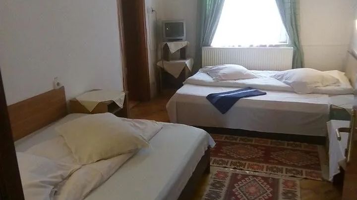 Vila Strugurelu Predeal (1)