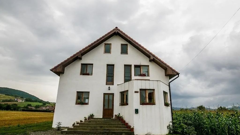 Vila Aria Albești (1)