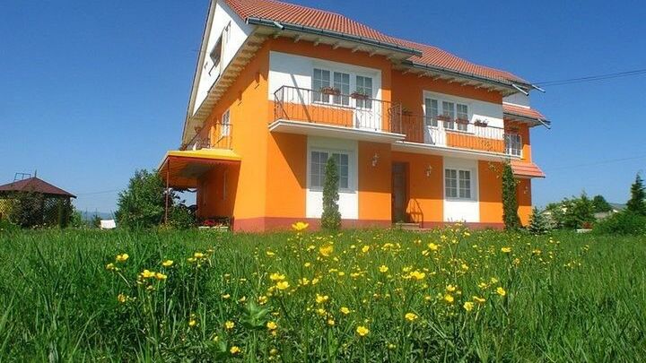 Vila Vlad Târgu Neamț (1)