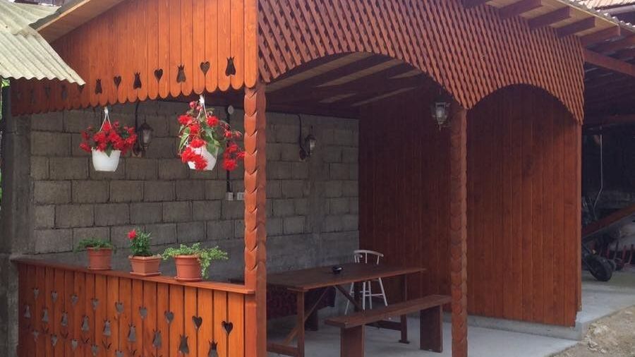 Pensiunea Adina Sâncraiu (1)