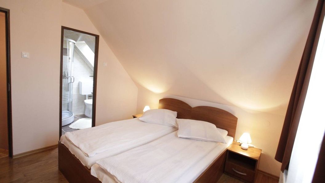 Vila Floare de Colț Izvoru Mureșului (1)