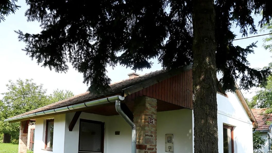 Falusi Vendégházak Alsóbogát (1)