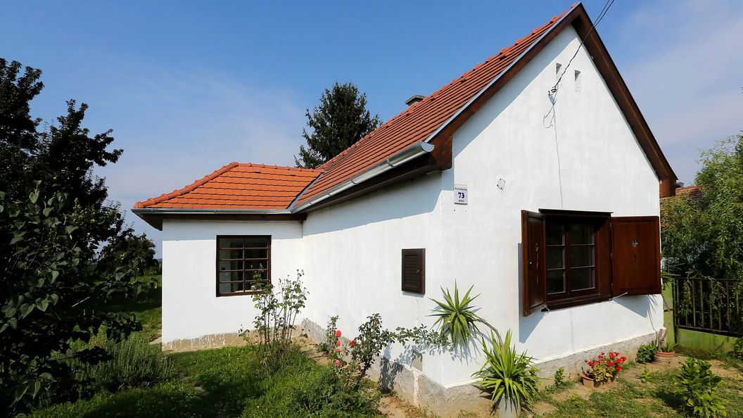 Falusi Vendégház 73 Alsóbogát (1)