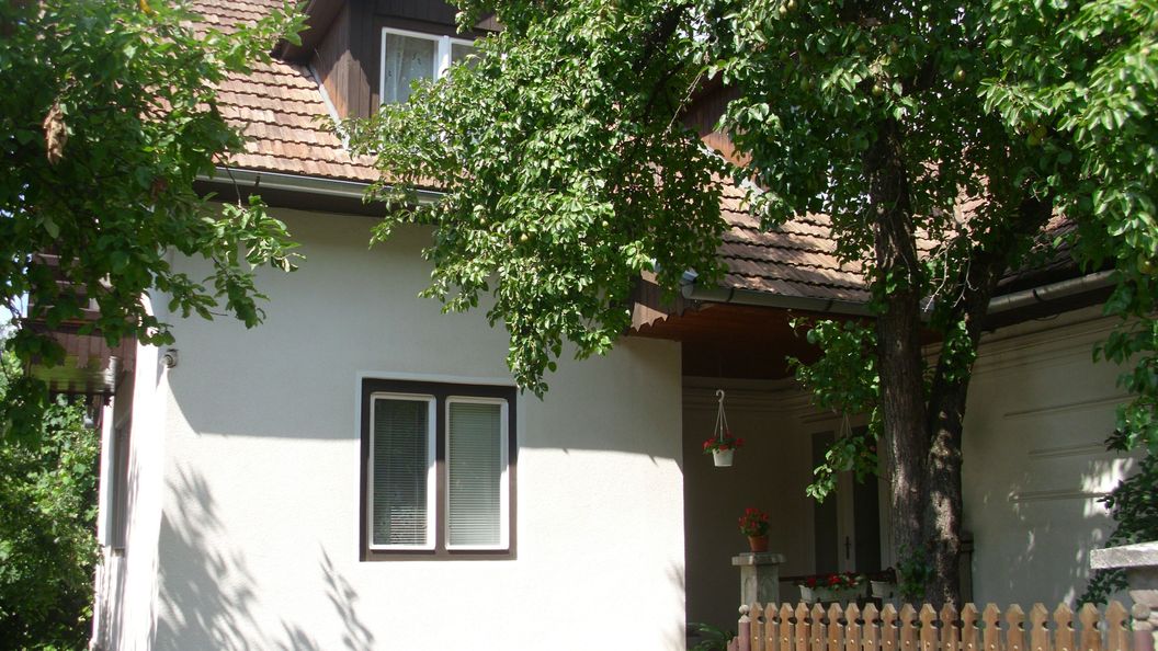 Casa de oaspeți Naomi Sovata (1)