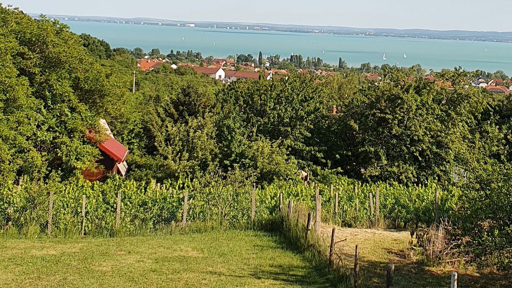 Rizlinger Apartman Felsőörs (1)