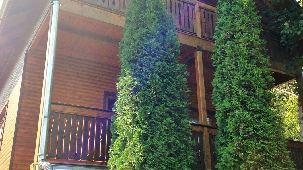 Casa de oaspeți Demény Sub Cetate (1)