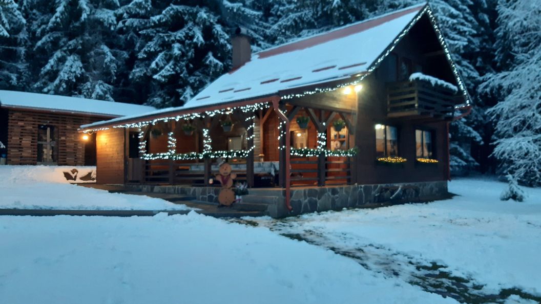 Casa de oaspeți Henrietta Borzont (1)