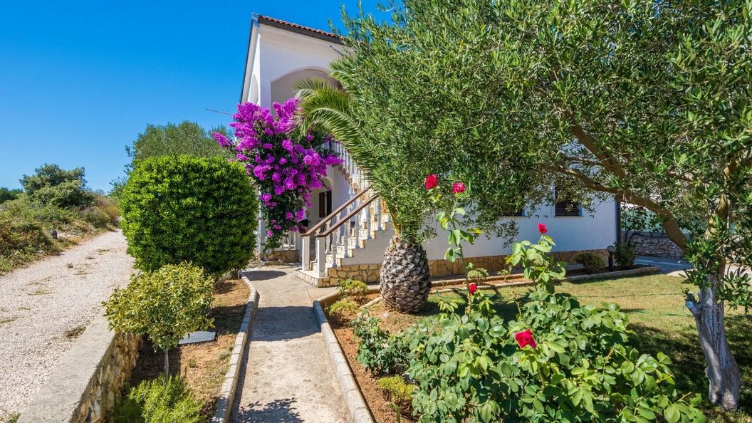 Apartment Susa Vir (1)