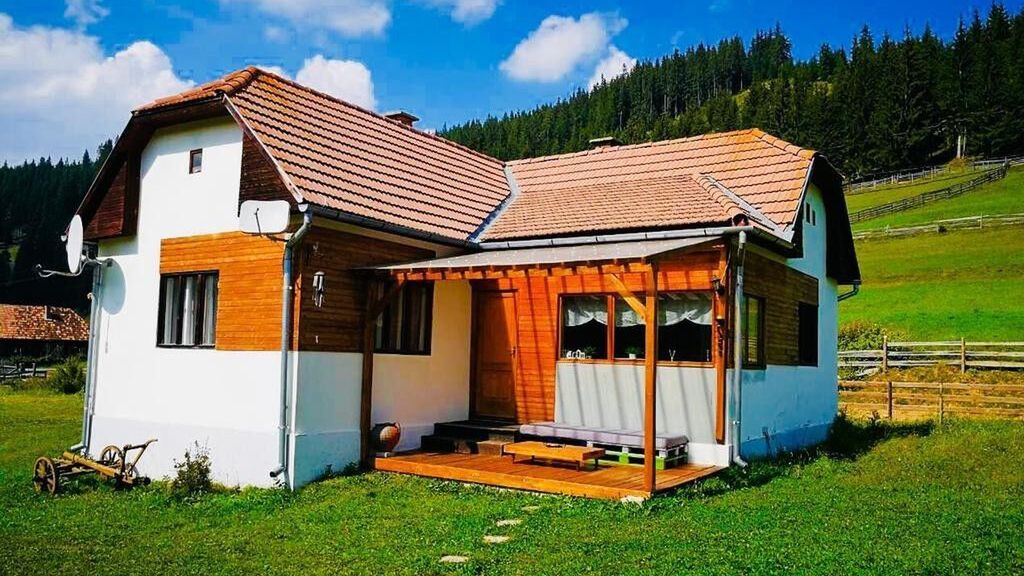 Cabana Nexus Făgețel (1)