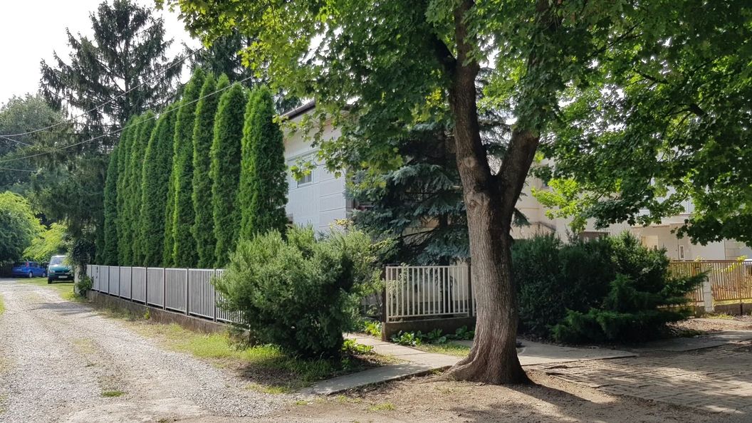 48-as Vendégház Gyopárosfürdő (1)