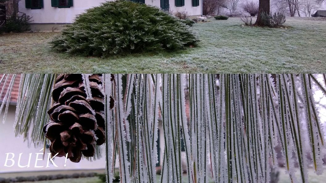 Őrségi Vendégház Ispánk (1)