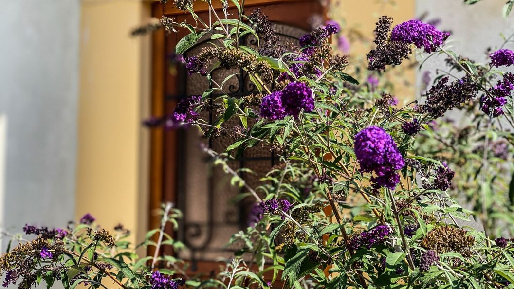 Pataki Porta Apartmanház Balatonederics (1)