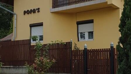 Casa de vancanta Popa's Sovata (1)