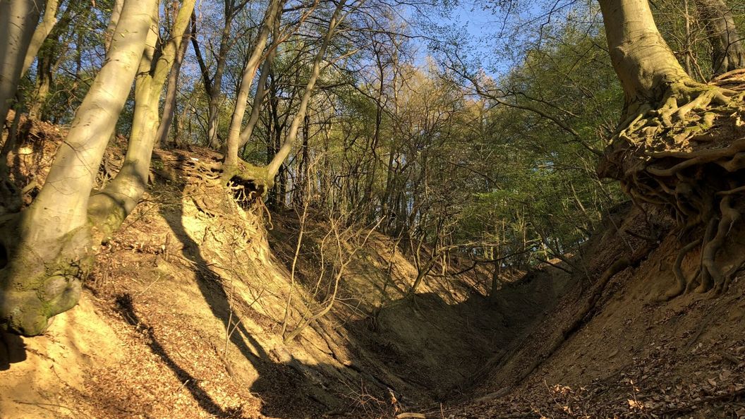 Heted 7 Panzió Szuha (1)