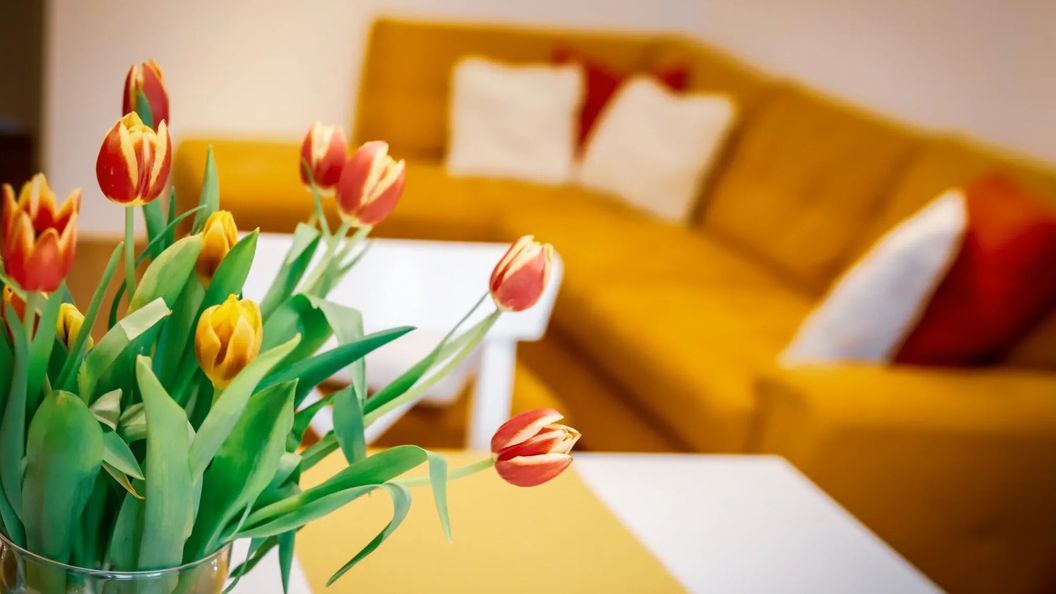 Cozy Apartman Győr (1)