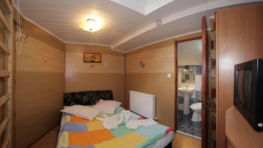 Casa Voicu Sinaia (1)