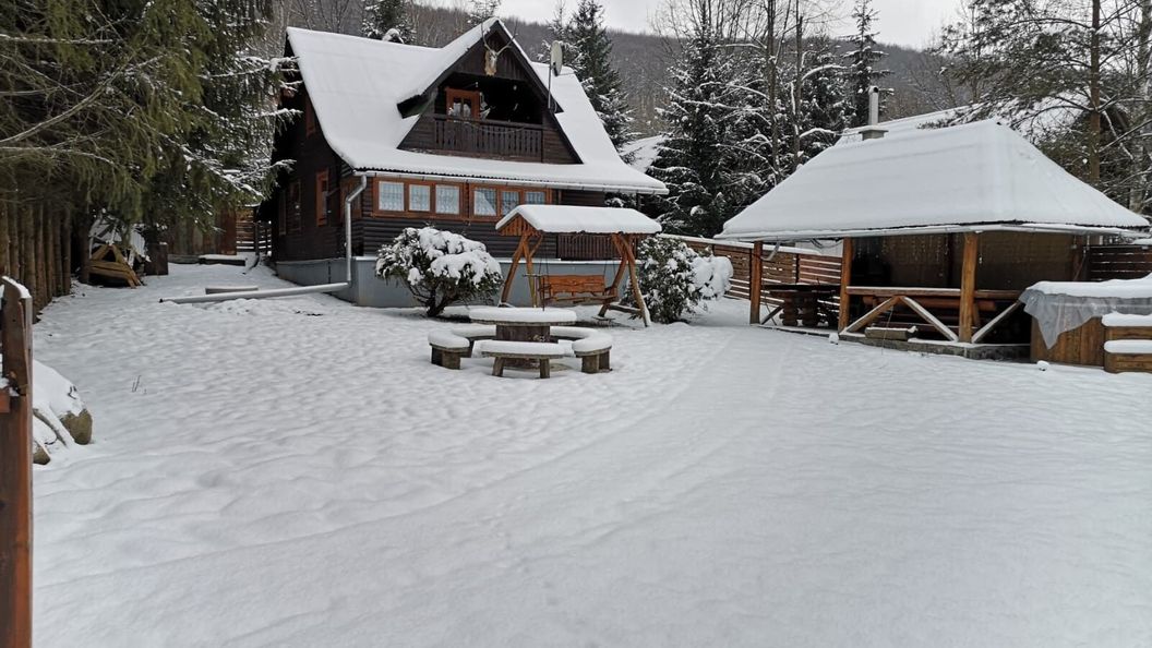 Cabana Cerbul de Aur Sub Cetate (1)