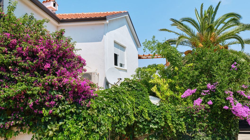 Apartmani Antares Mali Lošinj (1)