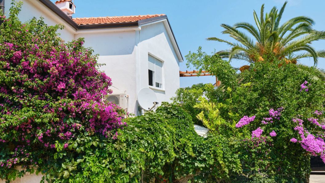 Apartmani Antares Mali Lošinj (1)