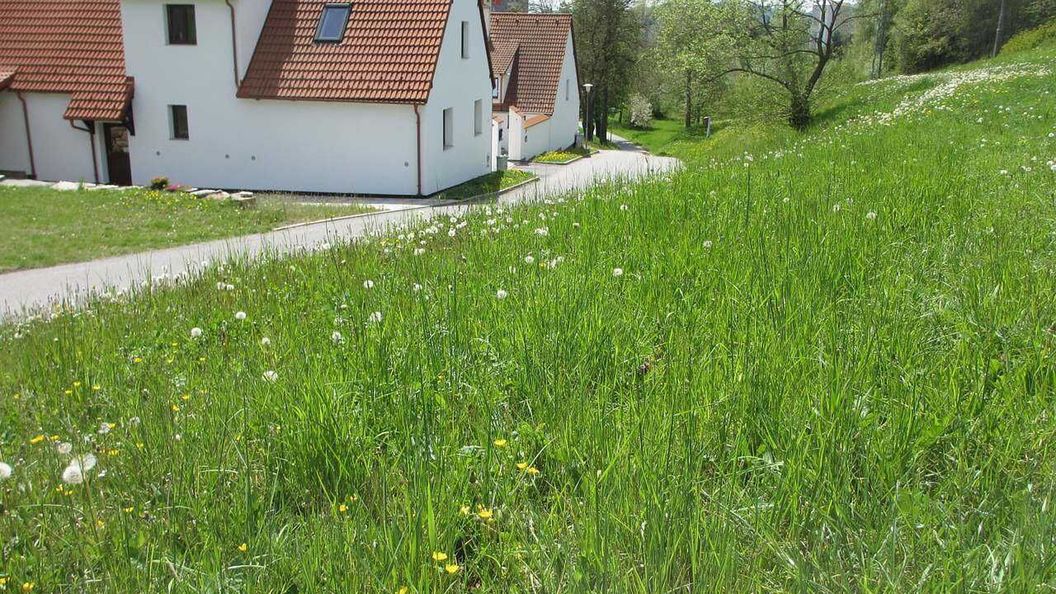 Apartmány U Procházků Český Krumlov (1)