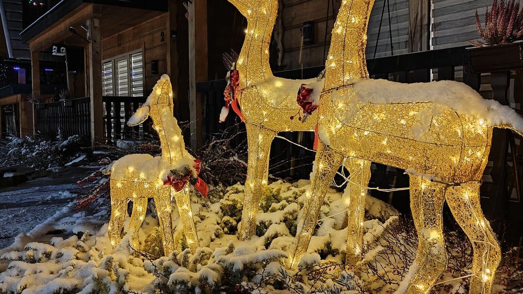 Domki u Jacka-Sauna & Relax z widokiem na góry Zakopane (1)