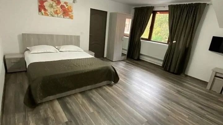 Casa de vacanță Panoramic View Rucăr (1)