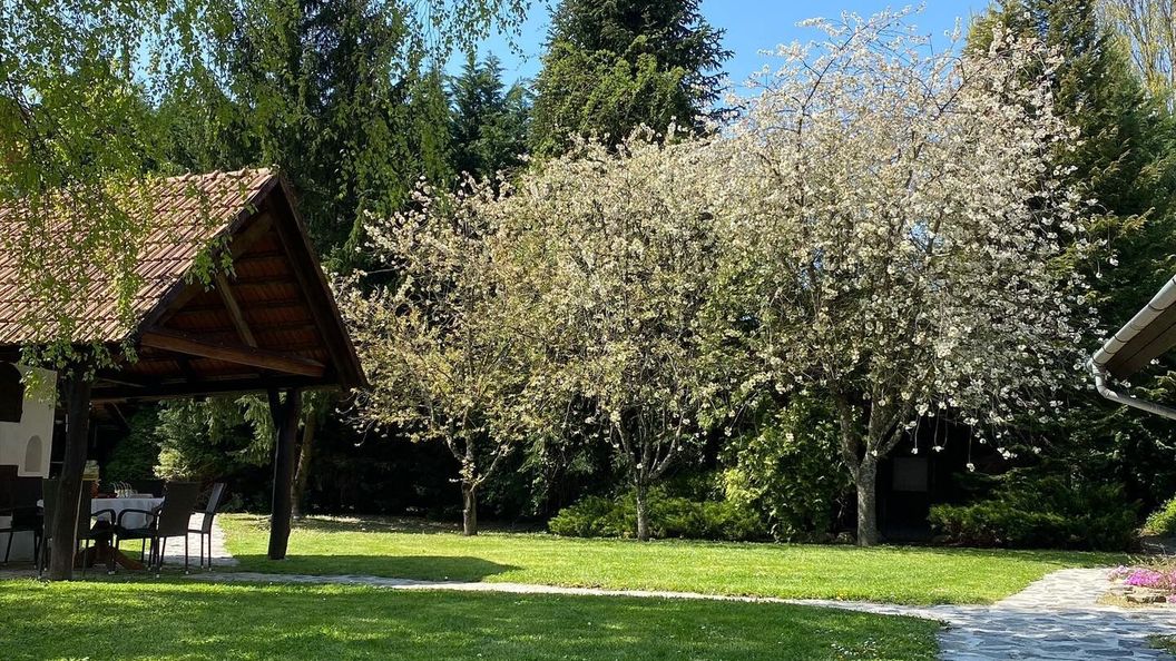 Sárkány Bio Panzió Csöde (1)