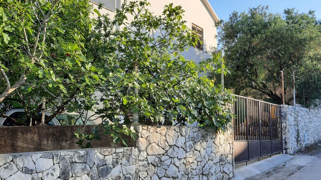 Apartman Ema Okrug Gornji (1)