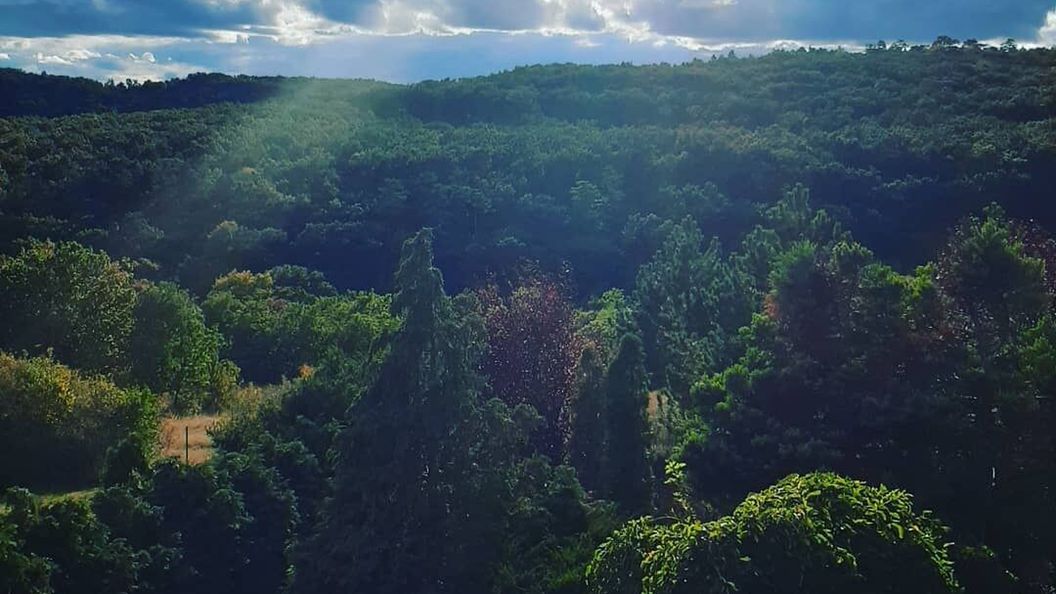 Forrás Hegyi Apartman Felsőörs (1)