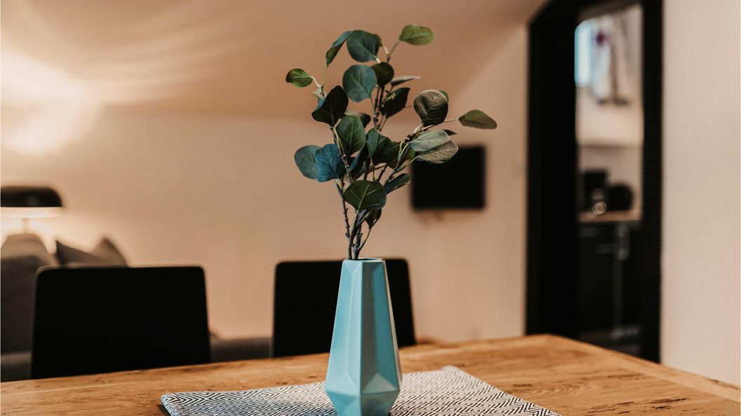 Apartman Wagrain - ASA143 (1)