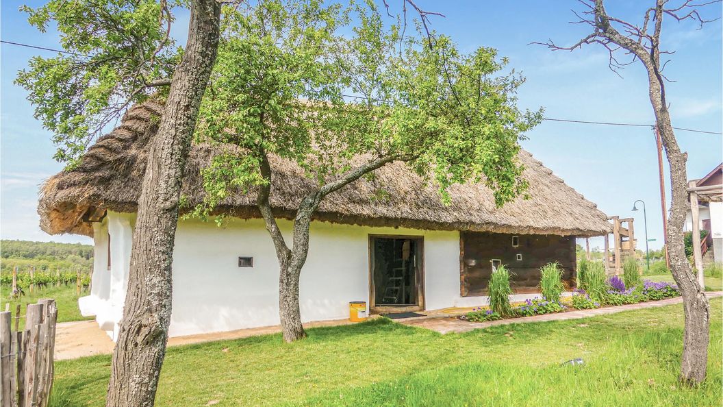 Vendégház Deutsch Schützen-Eisenberg - ABU163 (1)