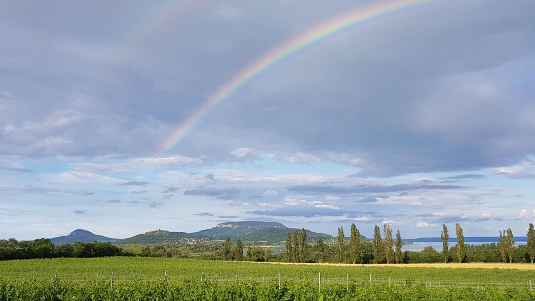 Villa Bella Vista Vendégház Balatonederics (1)