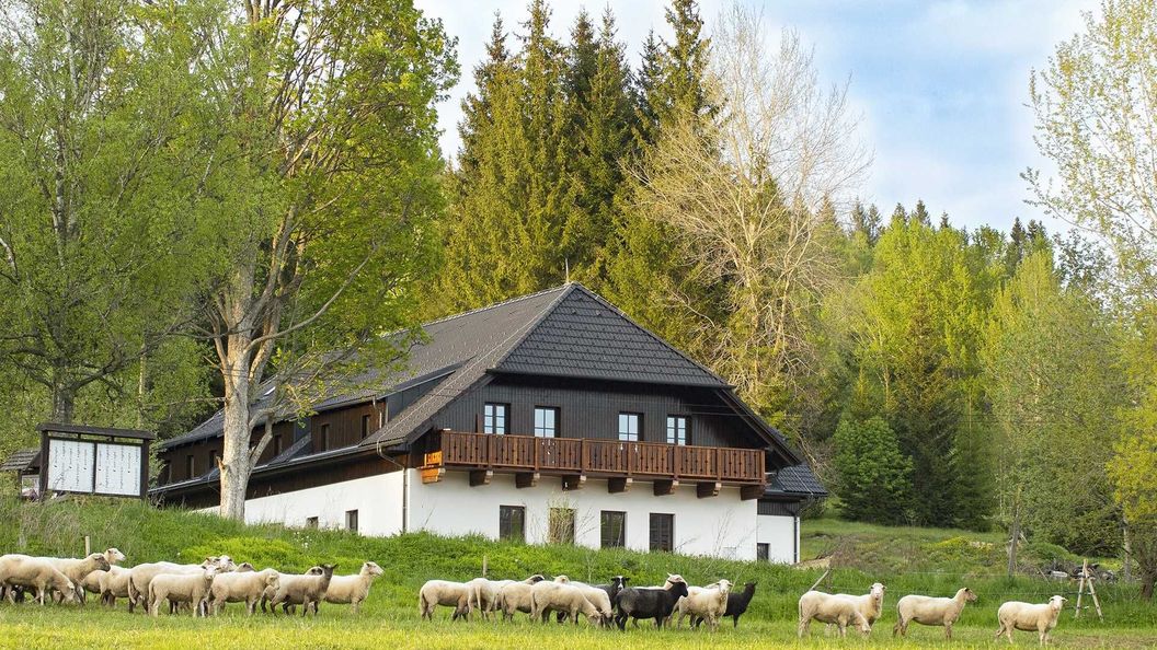 Dvůr Lískový vrch Strážný (1)