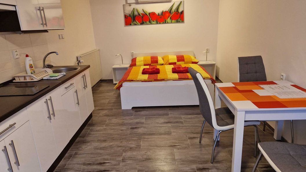 Apartmán u Marty Šakvice (1)