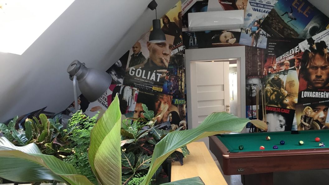 ZiMo MoZiHáz Taliándörögd (1)