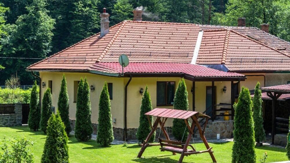 Casa Alex Văliug (1)