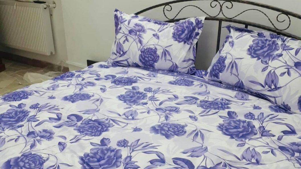 Casa de oaspeți Bercean Hida (1)