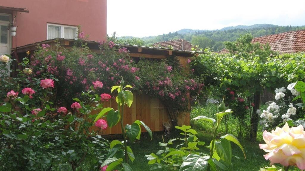 Casa Fabrizio Călimănești (1)