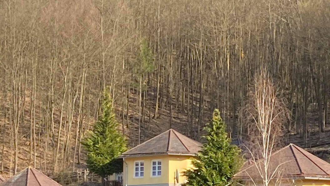 Erdőszéli Vendégház Újhuta (1)