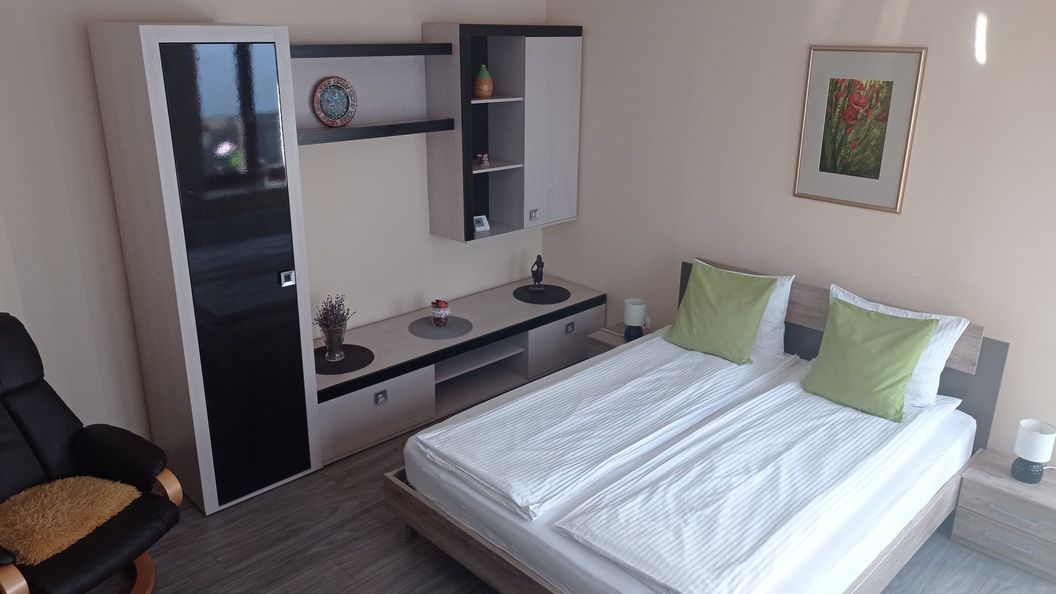 Citadel Residence Sighișoara (1)