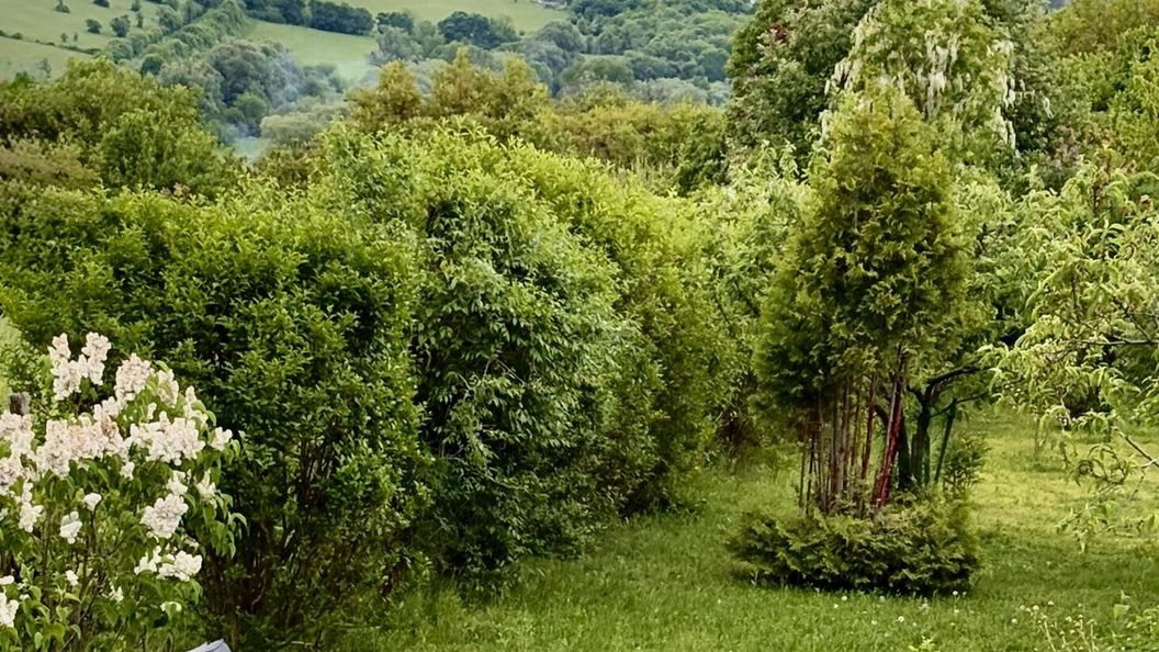 Csicsóka Panoráma Apartman Balatoncsicsó (1)