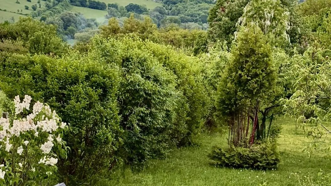 Csicsóka Panoráma Apartman Balatoncsicsó (1)