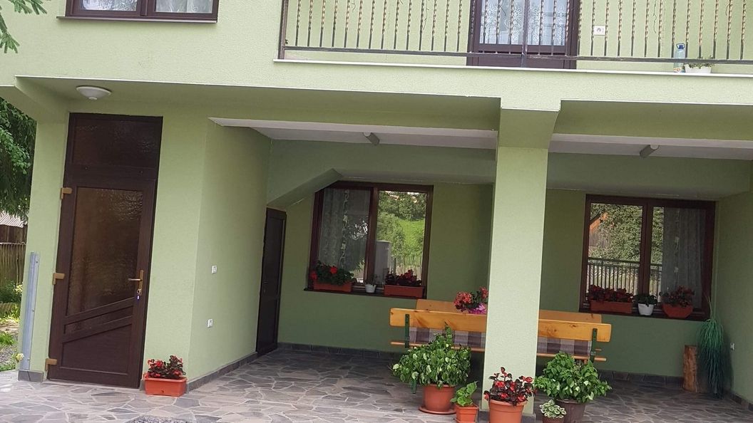 Casa de oaspeți Stetco Ileana Borșa (1)