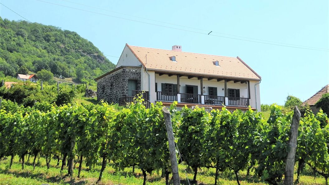 SÉD PINCE Vendégház Somlószőlős (1)