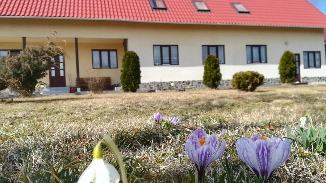 Casa de oaspeți Panorama Borzont (1)