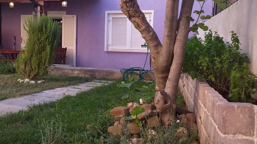 Kuća za Odmor Bella Jadranovo (1)