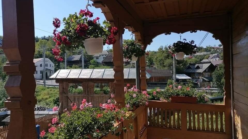 Casa Nemeș Văleni (1)