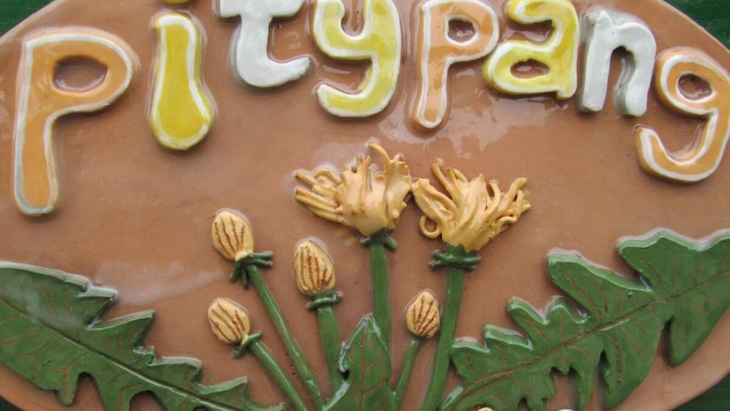 Agárd Pitypang Vendégház (1)