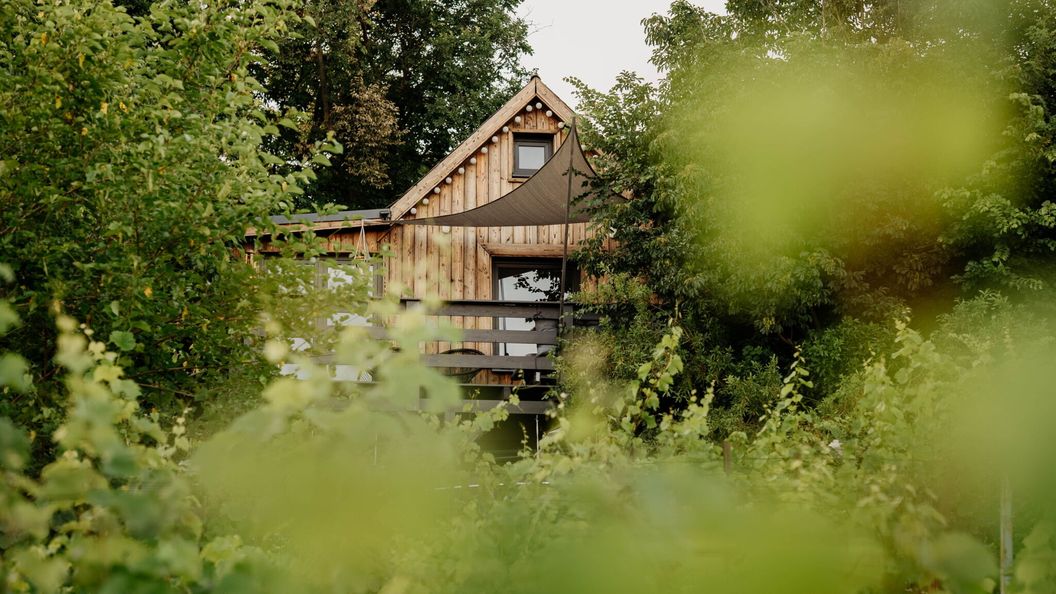 Casa Quint Vendégház Csákberény (1)